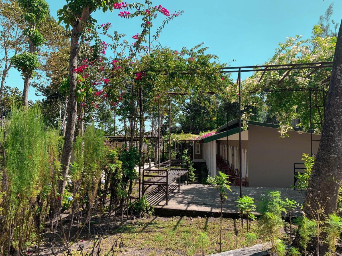 Rinjani Garden Syariah By Ecommerceloka Sembalunlawang Buitenkant foto